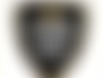 Forza Almere moet thuis de winst aan Diemen laten, 0-2