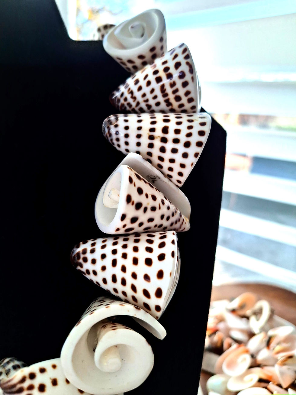 Thumbnail: Cone Shells with Brushed Sterling Silver Designer Clasp.