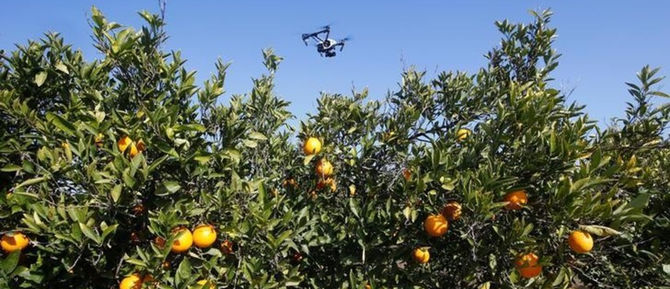 This is how drones could help to fight climate change
