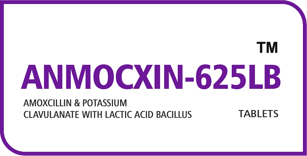 ANMOCXIN-625LB.png