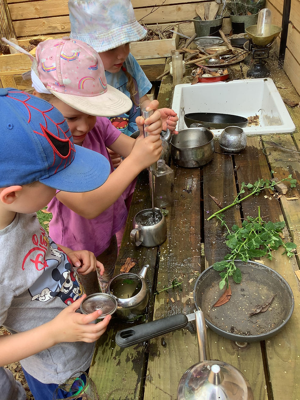 Twinkle Busy Badgers