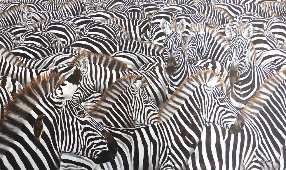 ZEBRA HERD  |  160cm x 100cm
