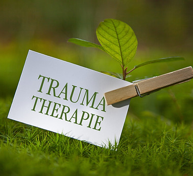 The german word _Traumatherapie_ - traumatherapy, with a seedling.jpg