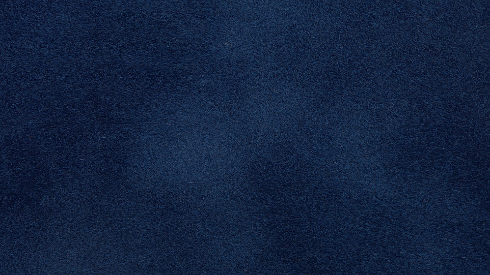 Trident Website (15).png