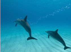 IMG_4122_edited.jpg