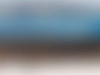 NEVE in pianura, a Trieste e sul Carso ? Forte nevicata in Giulie, tempeste di neve sulle Dinariche