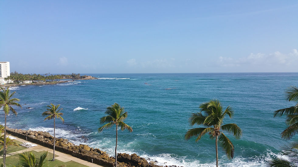 20150519_081935.jpg