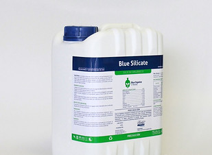 BLUE%20SILICATE2_edited.jpg