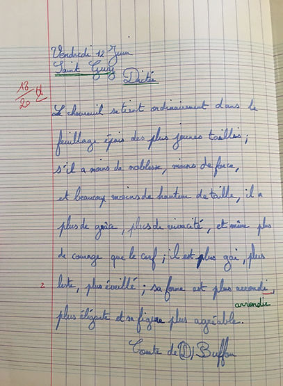 dictée CM1.jpg