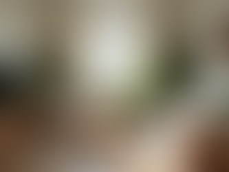 El Poder de las Plantas en el Diseño Interior