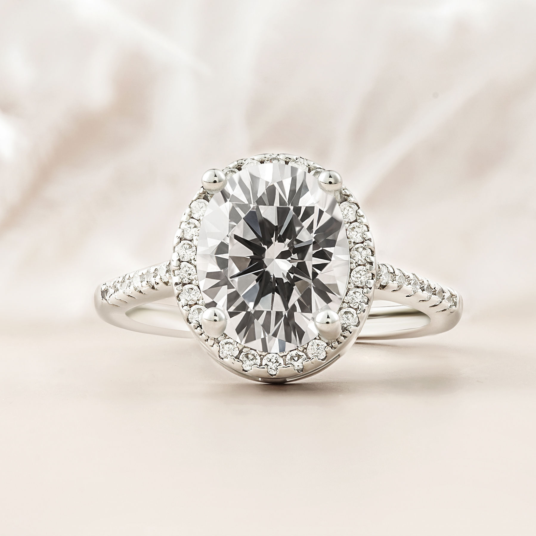 ｜ Gleaming Embrace ｜