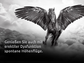 SC_Content_4zu3_Filme.011.jpeg