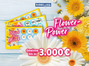SC_Content_4zu3_TLN_Rubbellose.025.jpeg
