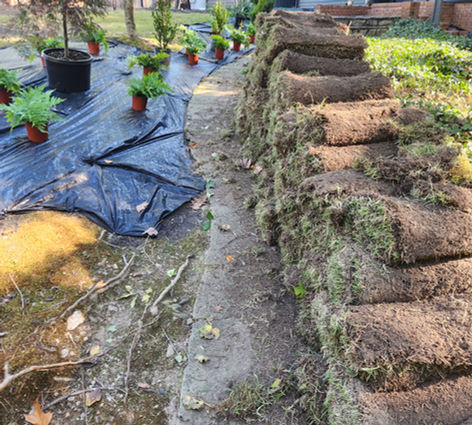Rolled Sod Ready to Be Installed