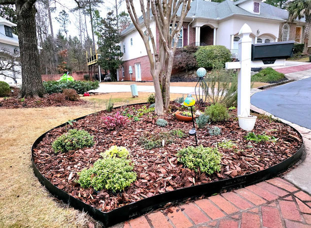 Renovated Garden Bed