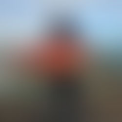 Giant Red Snappers Gulf Pier