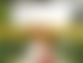 Marcoleta not appointed DOJ secretary