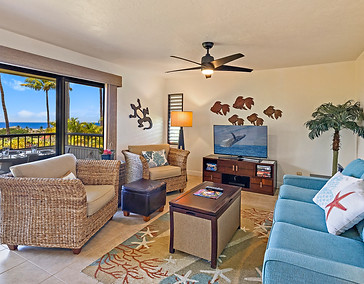 311 Living View 1.jpg
