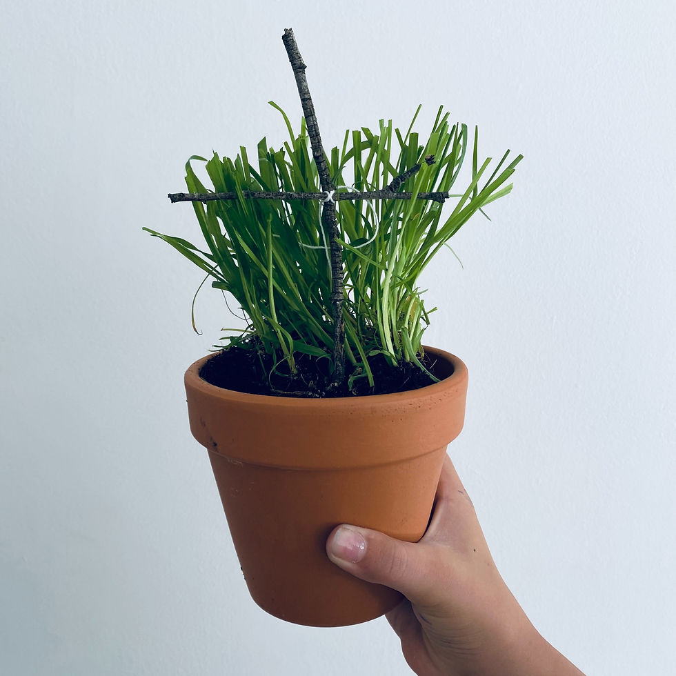 Thumbnail: Mini Resurrection Garden Kit