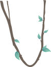 liana-576403_640.png