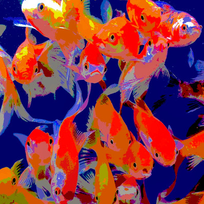 Red fish 1 - 90x90 - 90 €
