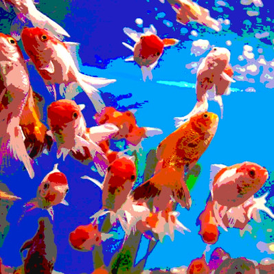 Red fish 4 - 90x90 - 90 €
