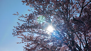 次回のイベントの予定