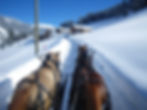 vongrünigen_winter13_250.JPG