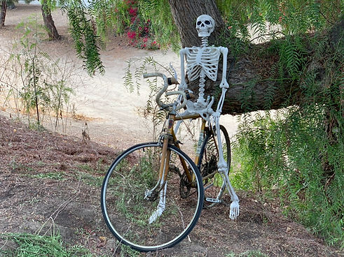 FullertonSkeleton.jpeg