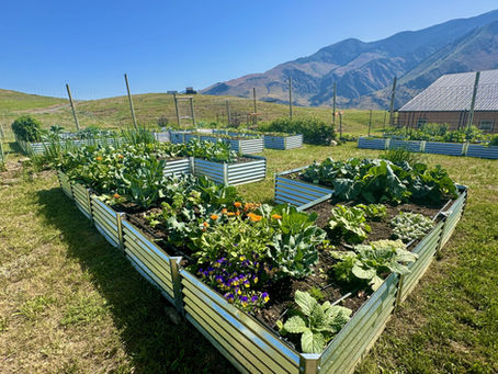 Gardening in Mountain Towns: Overcoming Challenges and Embracing Resilience