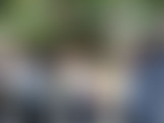 Հայաստան այցելած ֆրանսիացի կամավորներն արդեն հասցրել են զգալ Երևանի հյուրընկալ միջավայրը. նրանք նաև