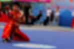 World 6th Traditional Wushu Comp