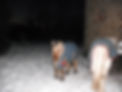 DSCF0066.jpg