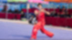 6th World Traditional Wushu Comp