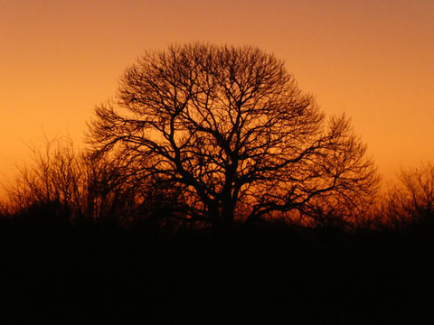 Sunset view from the gîte