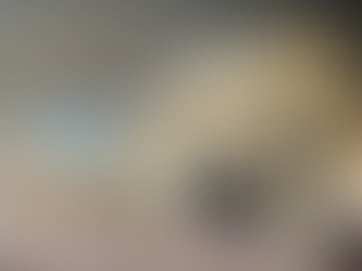 Funcionária é atacada por onça em Zoobotânico da região 