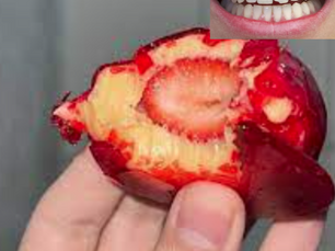 Fernandopolense quebra o dente ao morder morango do amor: “revoltada”