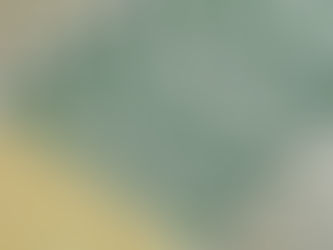 Mega-Sena não tem ganhador e prêmio acumula em R$ 47 milhões