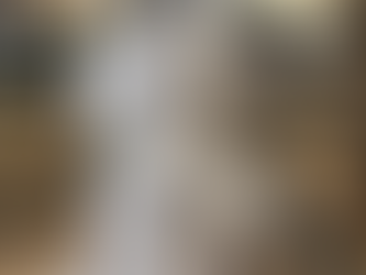 Quatro pessoas são atacadas por enxame de abelhas