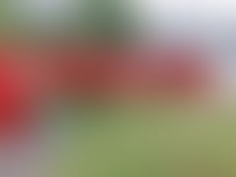 Vereadores pedem uma Central de Intérpretes de Libras