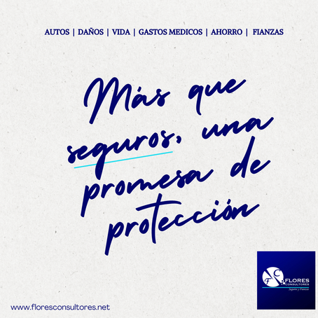 MAS QUE SEGUROS UNA PROMESA DE PROTECCION