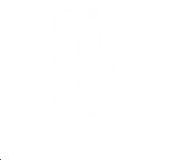 Untitled design-11 copy.png