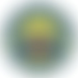 Convocatoria 1 plaza PL Albalat dels Sorells