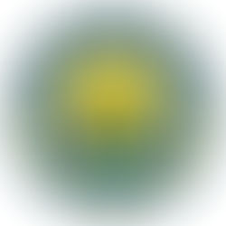 Apertura plazo instancias PL San Isidro