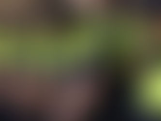 Lista Provisional PL en Gandía