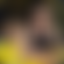 Gyökeres marca no fim e classifica Suécia para a Copa do Mundo