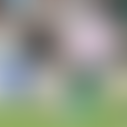 Coritiba e Botafogo empatam e aumentam sequência negativa no Brasileirão