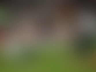 Líder Palmeiras enfrenta o Fluminense pelo Brasileirão.