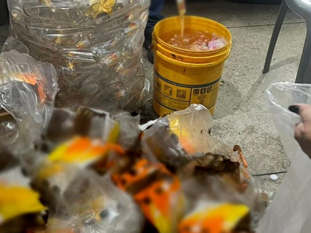 Dono de distribuidora em Trindade é preso durante operação para detectar bebidas com metanol