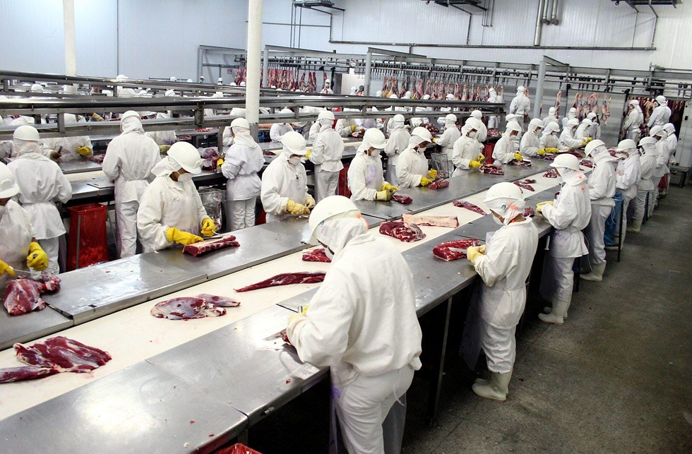 Frigorífico em Rio Verde é condenado após expor trabalhador ao frio excessivo